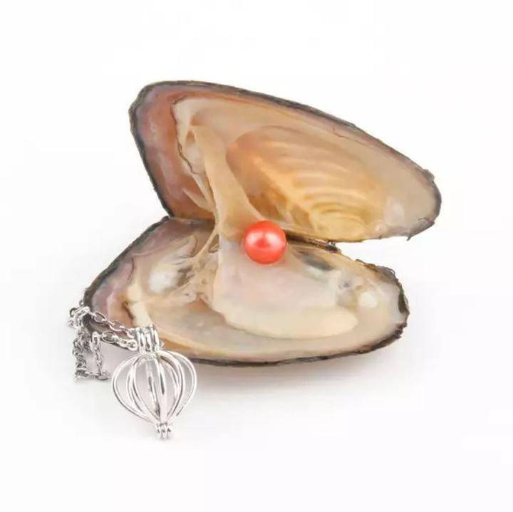 Natural Oyster Pearl Necklace Best Sellers Jewelry Natural Oyster Wish Freshwater Pearl long Necklace Pendant Fashion Jewelry For Women Mysterious Surprise Jewelry Gift 1 Set Best Sellers Jewelry Metal Color : Aries|Leo|Libra|Capricorn|Cancer|Pisces|Taurus|Gemini|Virgo|Sagittarius|Aquarius|Scorpio|Angel|Pink Rose|Red Rose|Shell|Coconut Tree|Dolphin|Love|Red Rose A|Angel-2|Cherry|Sunflow|Pink Rose A|Pigeon|Snowflake